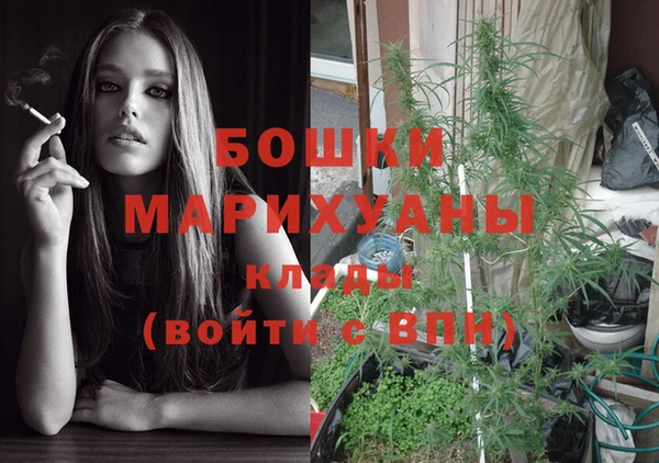 дживик Валдай