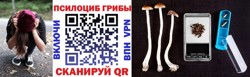 дарнет шоп  мориарти формула  Псилоцибиновые грибы Magic Shrooms  Рыбное 